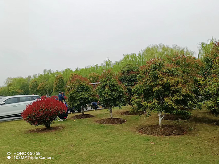 泰科電子科技（蘇州工業(yè)園區(qū)）有限公司   養(yǎng)護(hù)現(xiàn)場